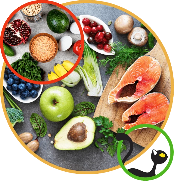 Savetujemo Vas da ishranom sprečite bolest